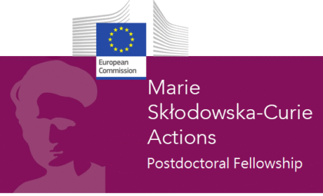 Plan Your MSCA Postdoc with Us: Why FBA VŠE is the Right Place for You